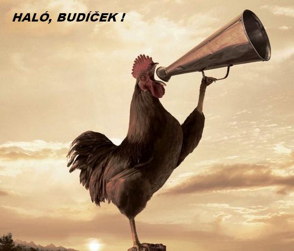 Halo, budíček!.jpg
